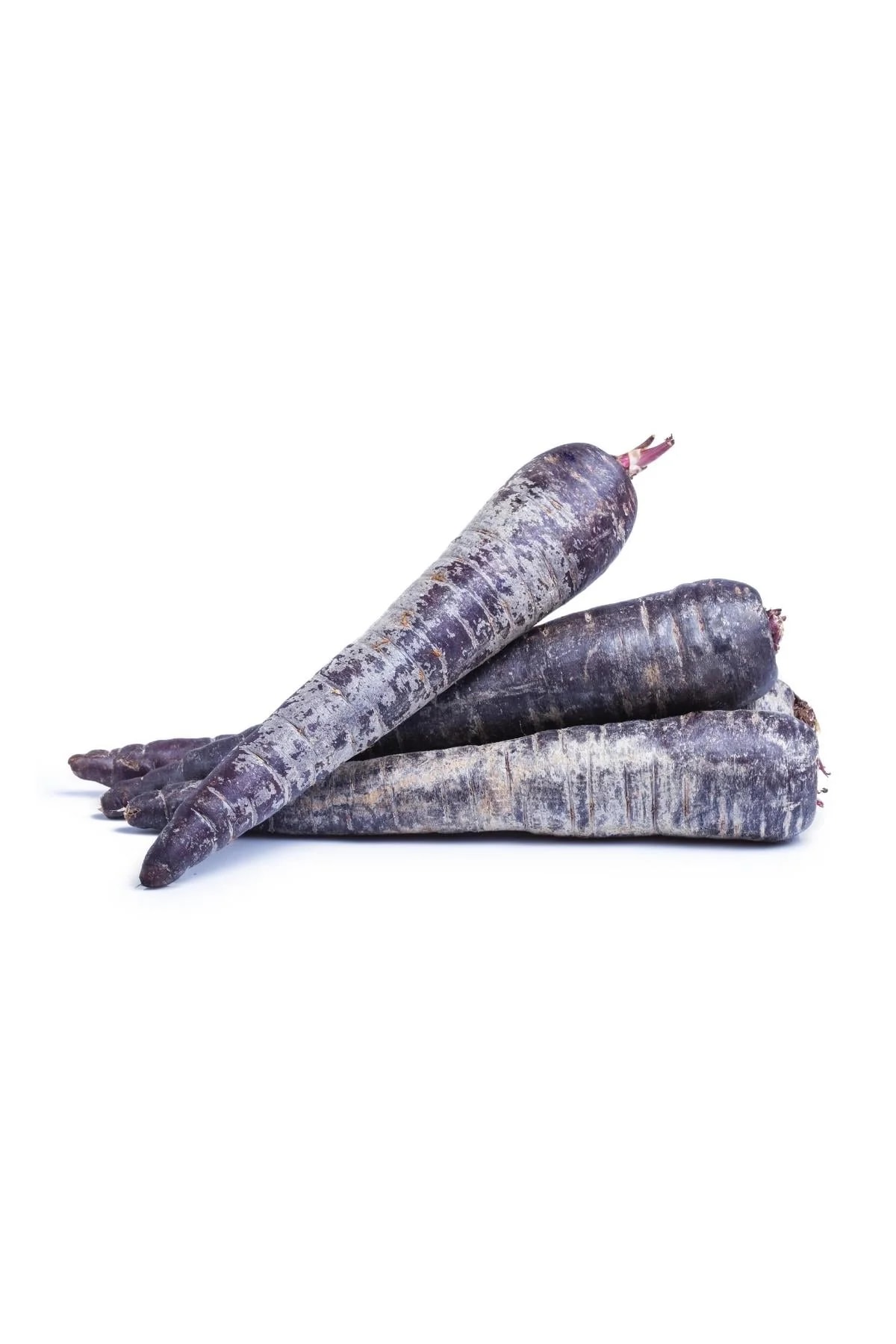 Siyah Havuç Pestisitsiz